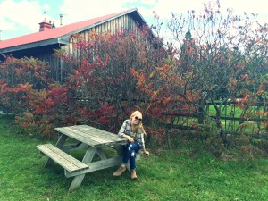 struckblog apple orchard | fall fashion |toronto apple orchard |greater toronto area apply picking | fall style