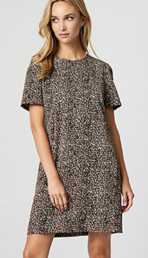 Leopard Print Dress