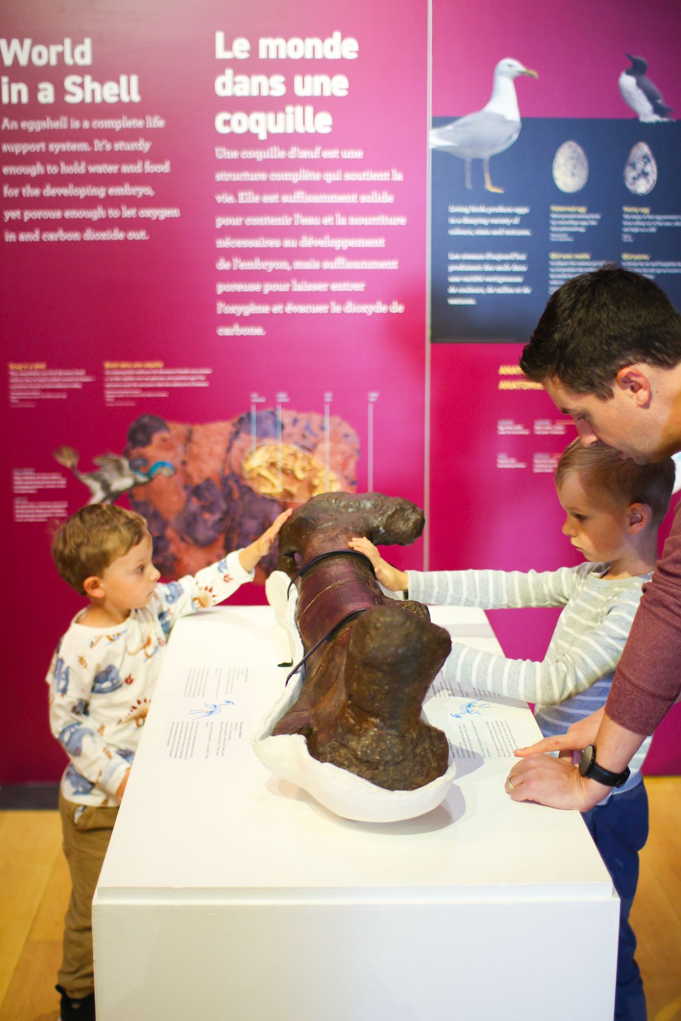 two boys and their dad touch a bone at the dinosaurs among us pumphouse museum exhibit kingston 