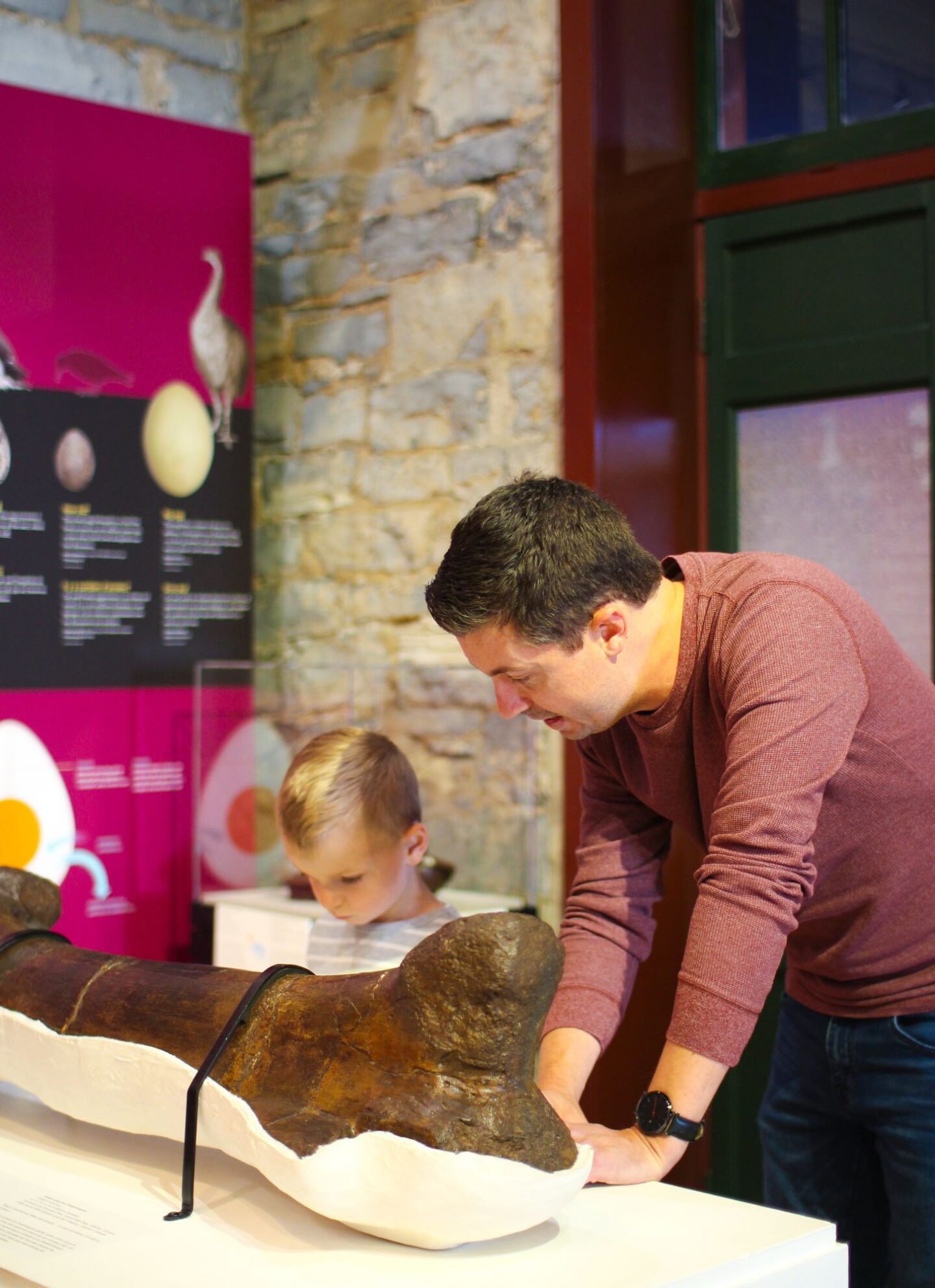 a boy and his dad look at a bone at the dinosaurs exhibit